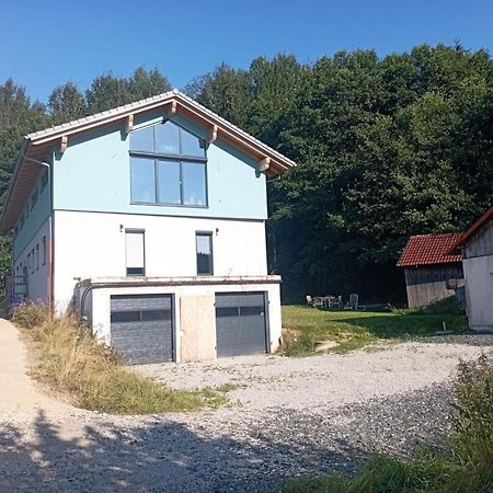 Fewo Wiesenblick Waldmünchen Extérieur photo